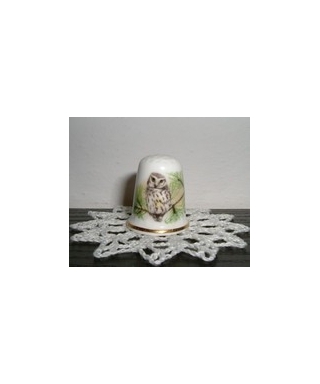 Little owl