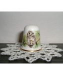 Little owl