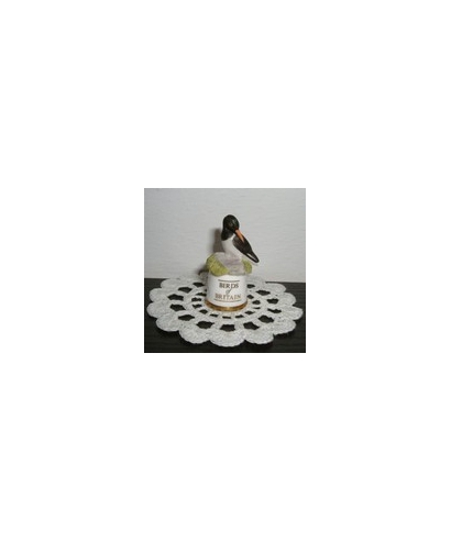 Oystercatcher