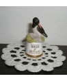 Oystercatcher