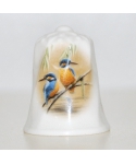 Kingfishers