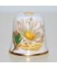Camomile