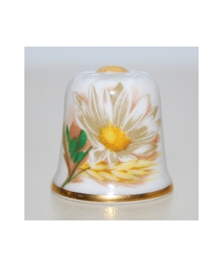 Camomile