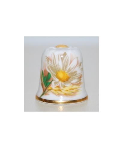 Camomile