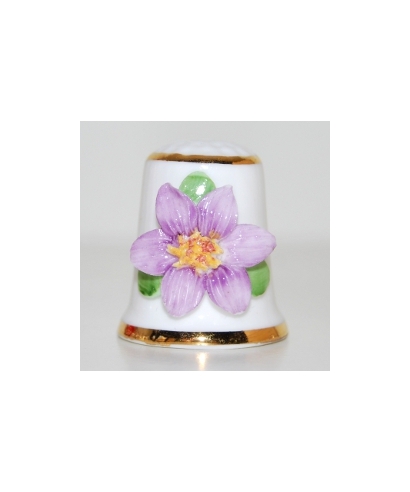 Clematis