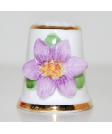 Clematis