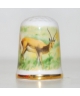 Antelopes