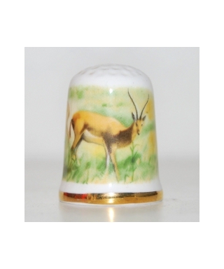 Antelopes