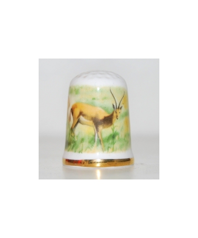 Antelopes