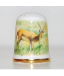 Antelopes