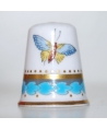 Spode butterfly