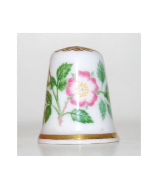 Wild rose