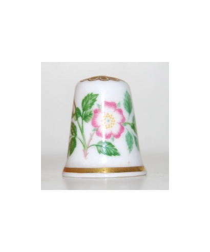 Wild rose