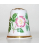 Wild rose
