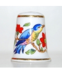 Pembroke bird