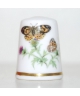 Painted lady
