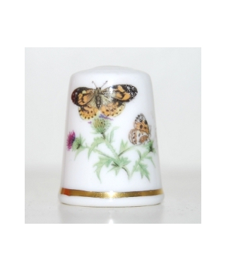Painted lady