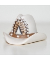 Cowboy hat