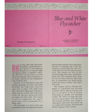 Blue and White Flycatcher - certificate