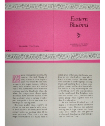 Eastern Bluebird - certificate