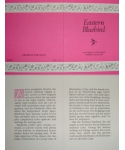 Eastern Bluebird - certificate