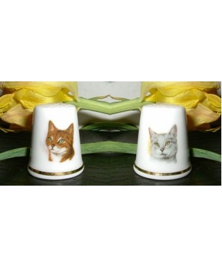 Cats
