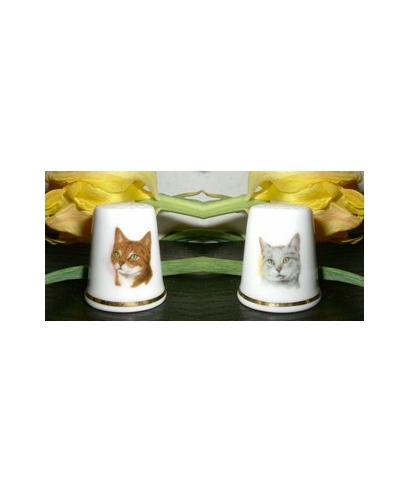 Cats