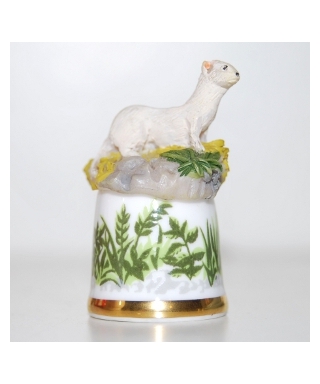 Stoat