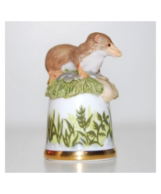 Weasel