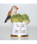 Goldfinch