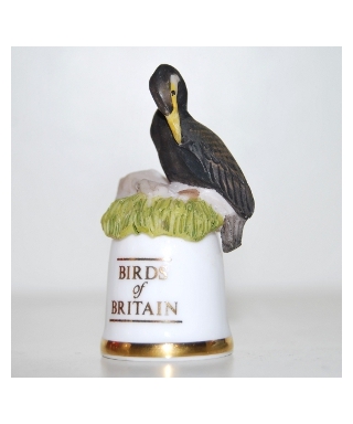 Kormoran