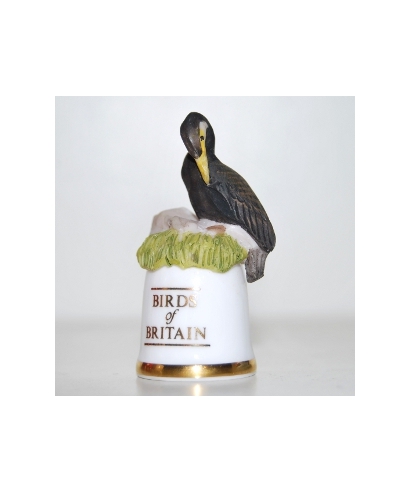 Kormoran