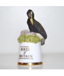Kormoran