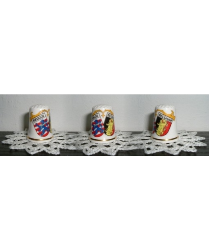 Bruges emblem & Belgium emblem