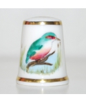Kingfisher - Clair Cox