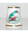 Kingfisher - Clair Cox