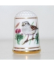 White-throated sparrow