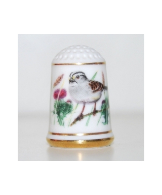 White-throated sparrow