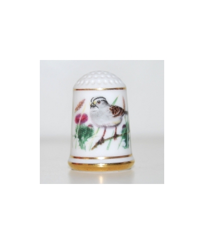White-throated sparrow