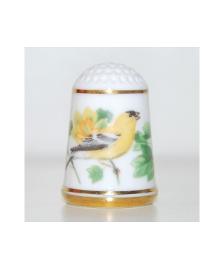American goldfinch