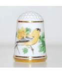 American goldfinch