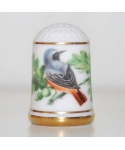 Common redstart