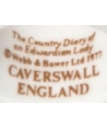 Caverswall - The Country Diary of an Edwardian Lady (brown)