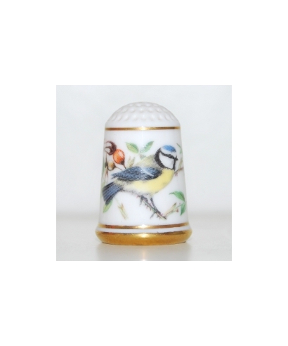 Blue tit