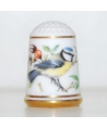 Blue tit