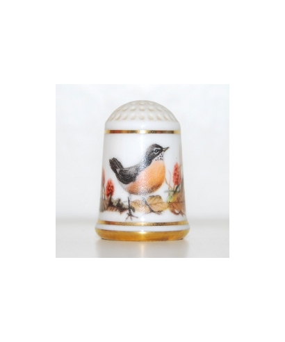 American robin