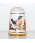 American robin