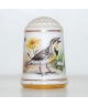 Western meadowlark