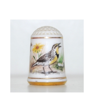 Western meadowlark