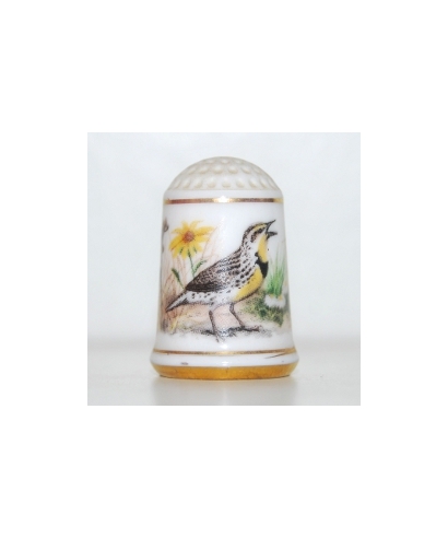 Western meadowlark